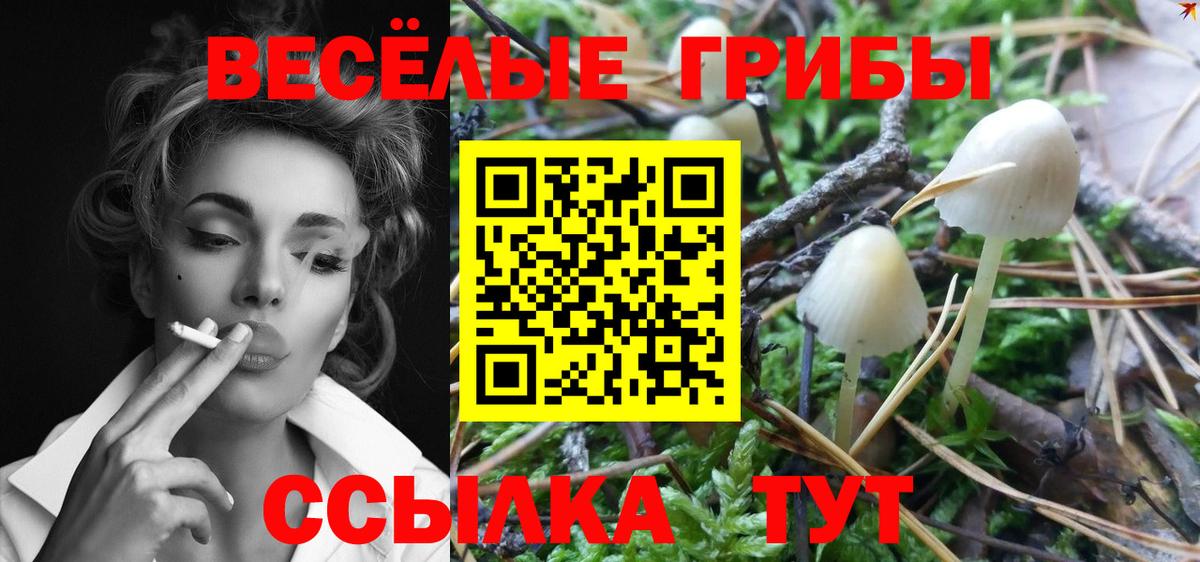 Псилоцибиновые грибы Magic Shrooms Новоалександровск