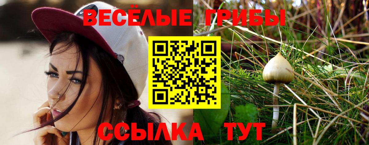Галлюциногенные грибы Magic Shrooms  Вход с VPN  Псилоцибиновые грибы GOLDEN TEACHER  Новоалександровск 